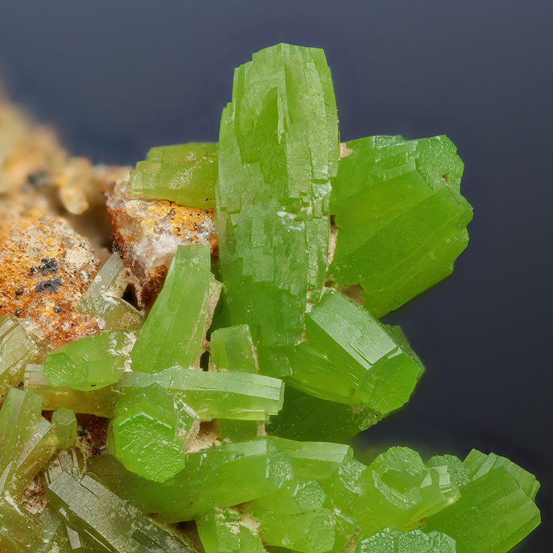 Peridoto: La Guía Definitiva de la Piedra Natal Primaria de Agosto